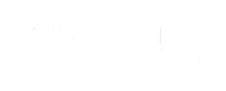 University of Turku